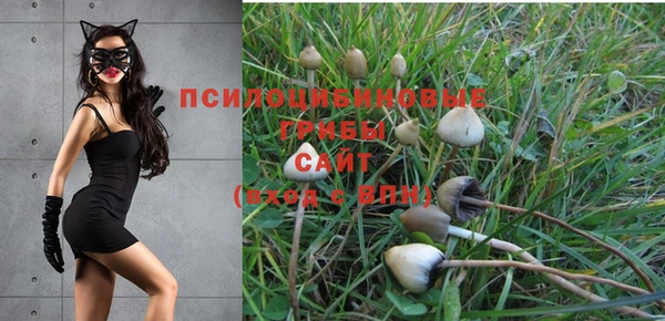 ALPHA PVP Балабаново