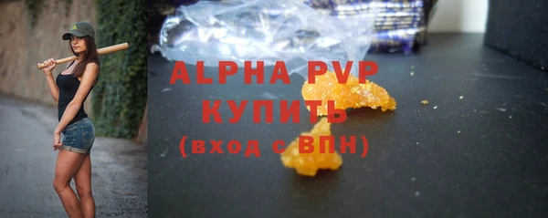 стафф Новодвинск