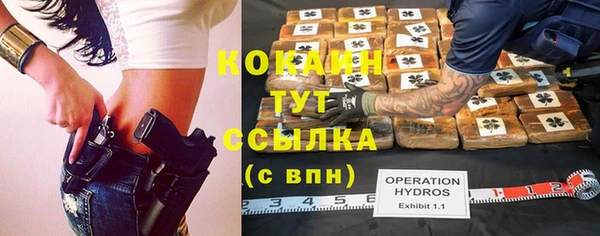 стафф Новодвинск